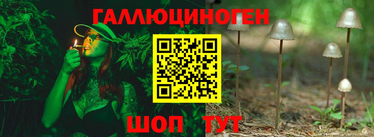 Среднеуральск  Псилоцибиновые грибы мухоморы  Вход с VPN 